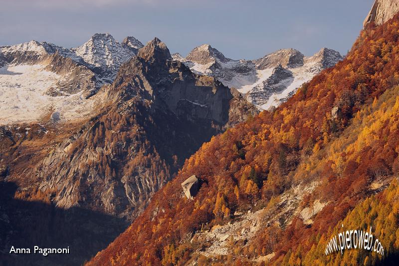 05 - Faggi e larici colorati.jpg